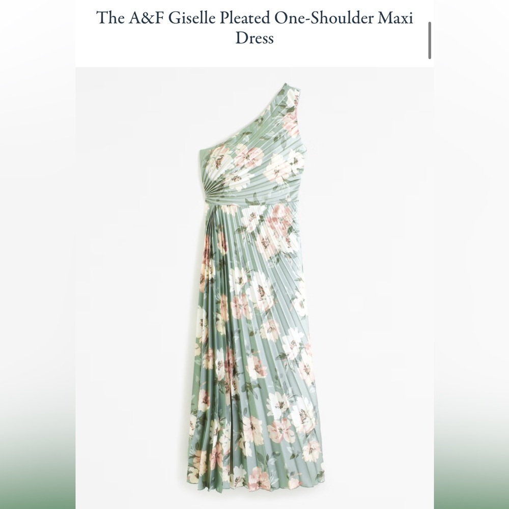 NWT The A&F Giselle Pleated One-Shoulder Maxi Dress